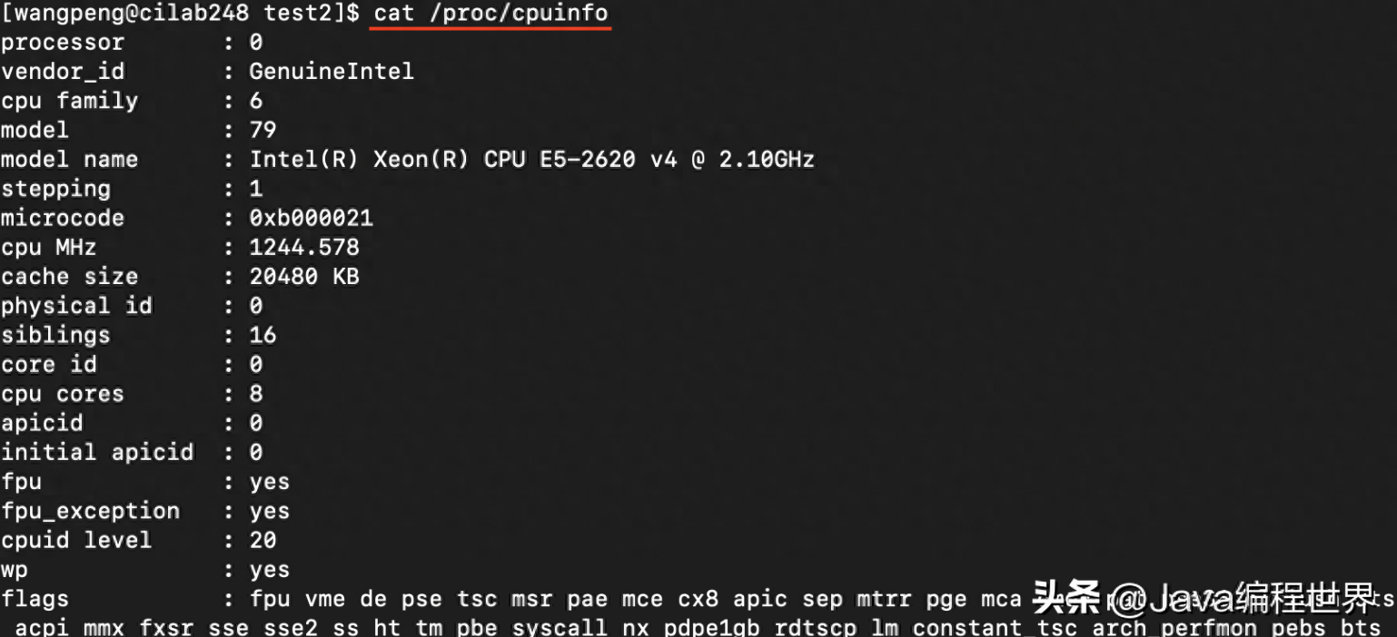 Linux新手必看：几种方法帮你查看CPU核心数量